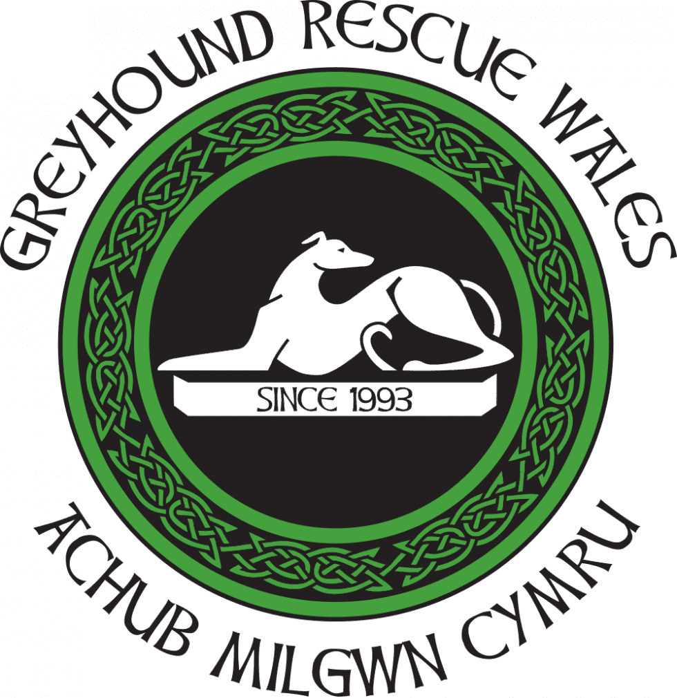 Greyhound rescue christmas cards