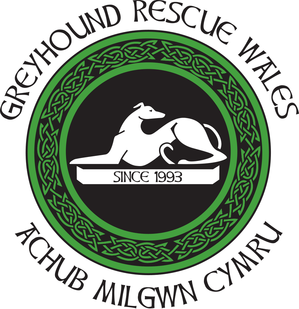 Greyhound Rescue Wales