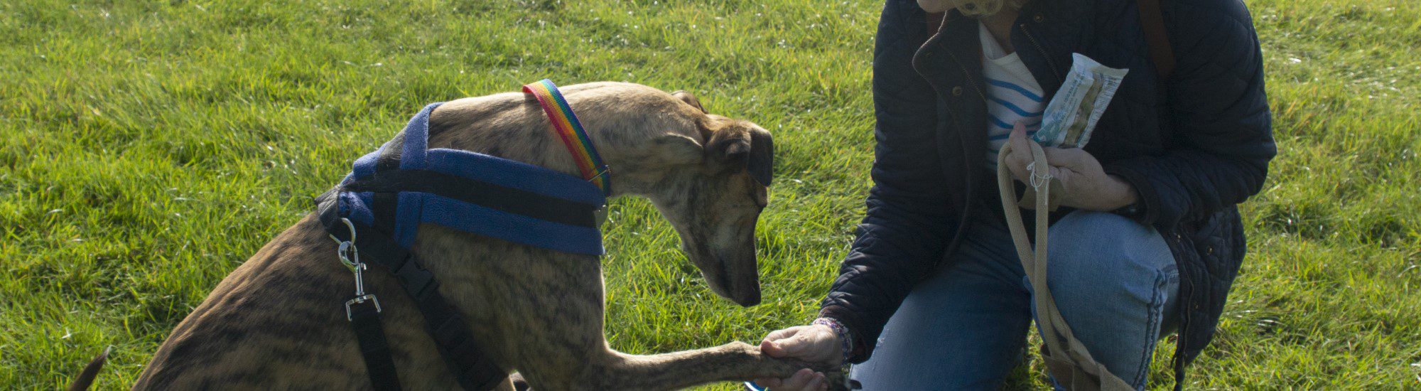 Brns006 (Web Banner)