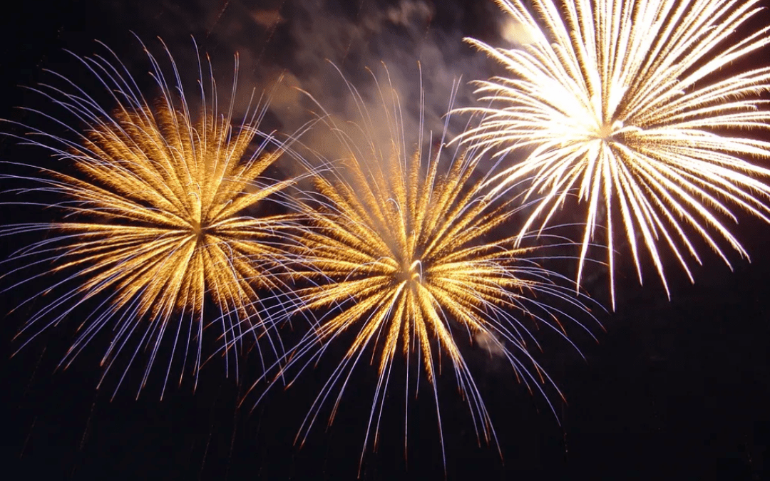 Preparing You and Your Dog for Bonfire NIght