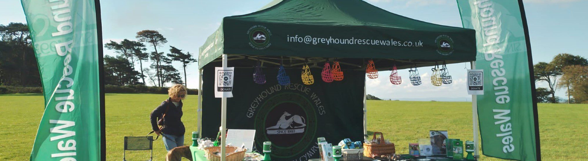 Whats On (Web Banner)