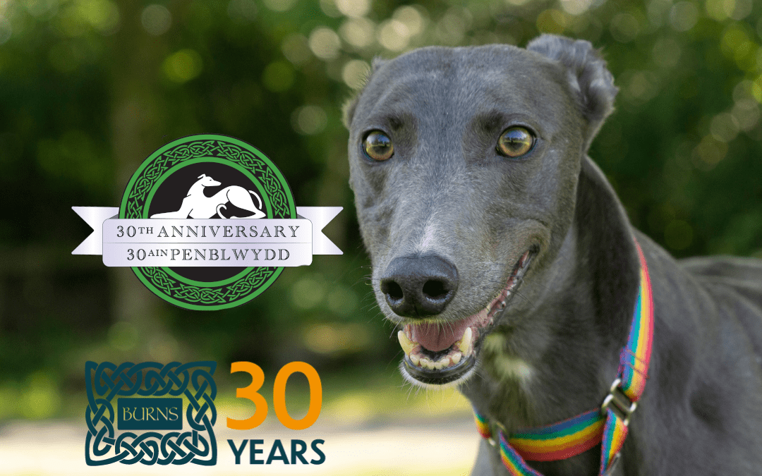 Guest Blog: Burns Pet Nutrition at GRW