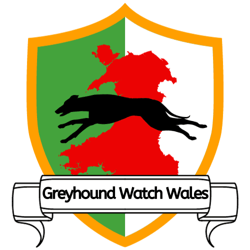 Greyhound Watch Wales (1)