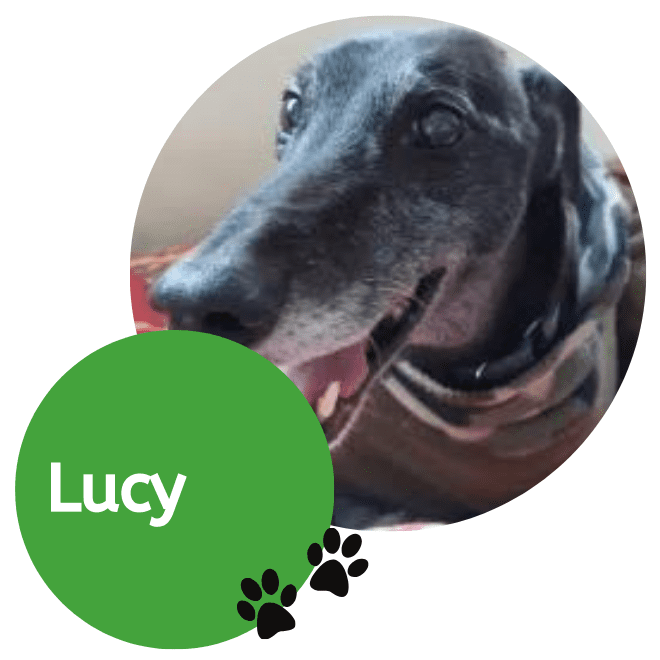 Lucy (1)