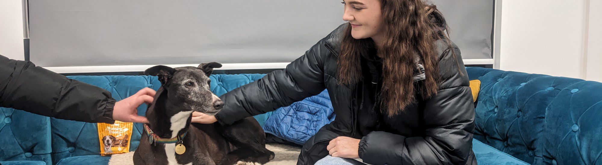 Two people sat on a sofa, petting a greyhound