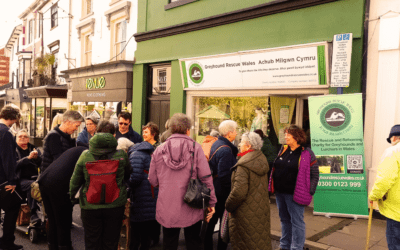 5 Common Myths About Charity Shops