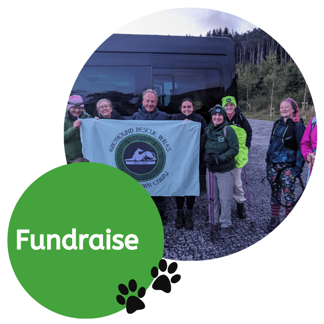 Fundraise