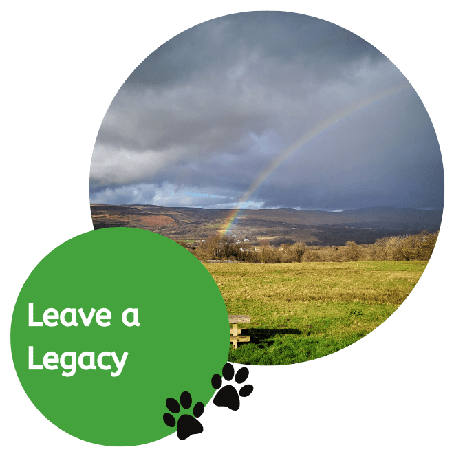Legacy