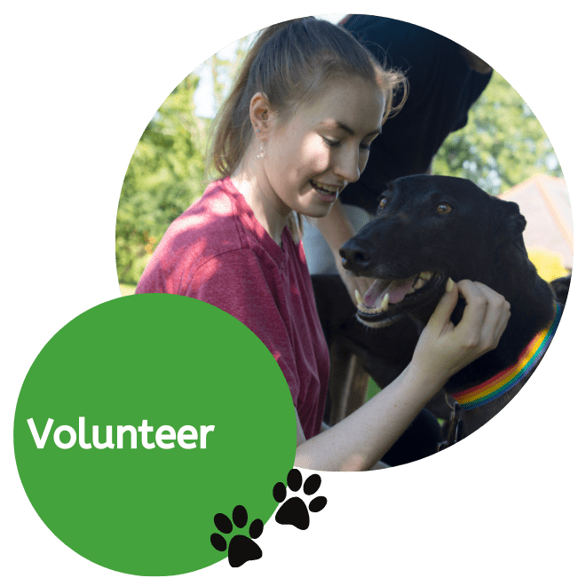 Volunteer (1)