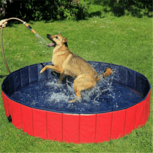 Paddling Pool