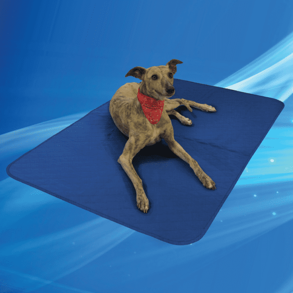 Cool Mat