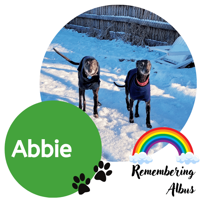 Abbie and Albus (3)