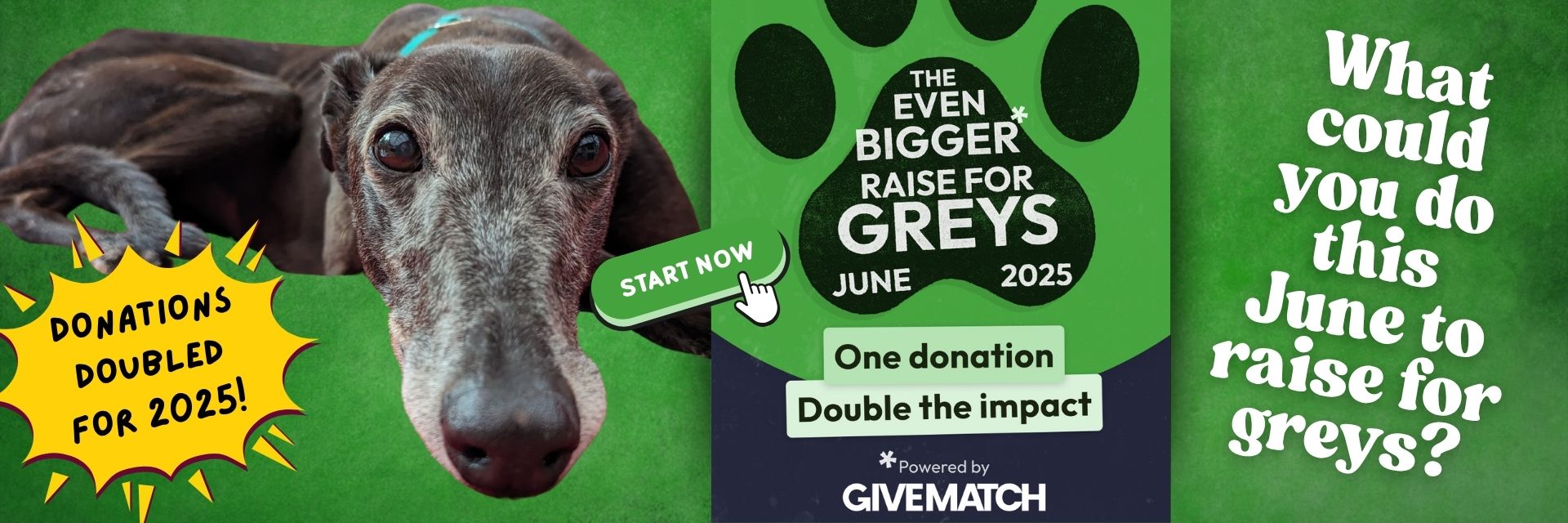 Raise for Greys 2025
