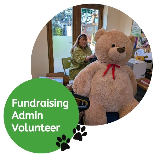 Fundraising Admin Volunteer