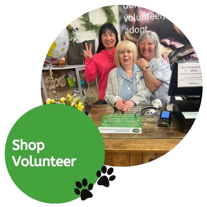 Shop Volunteer