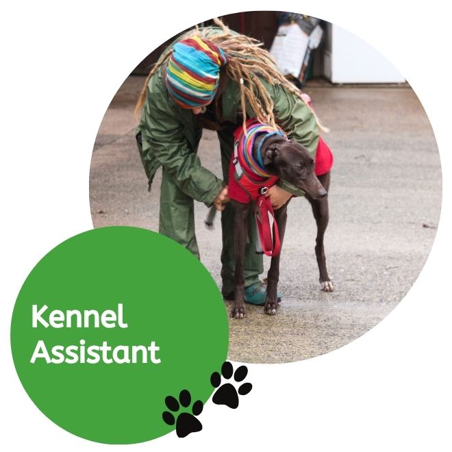 Kennel Assistant