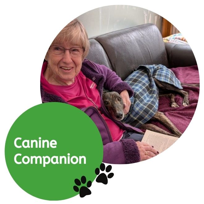 Canine Companion