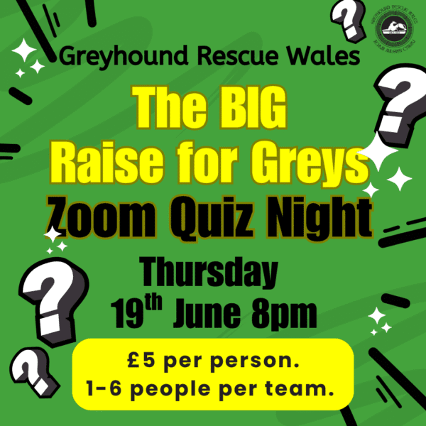 The BIG Raise for Greys Zoom Quiz Night
