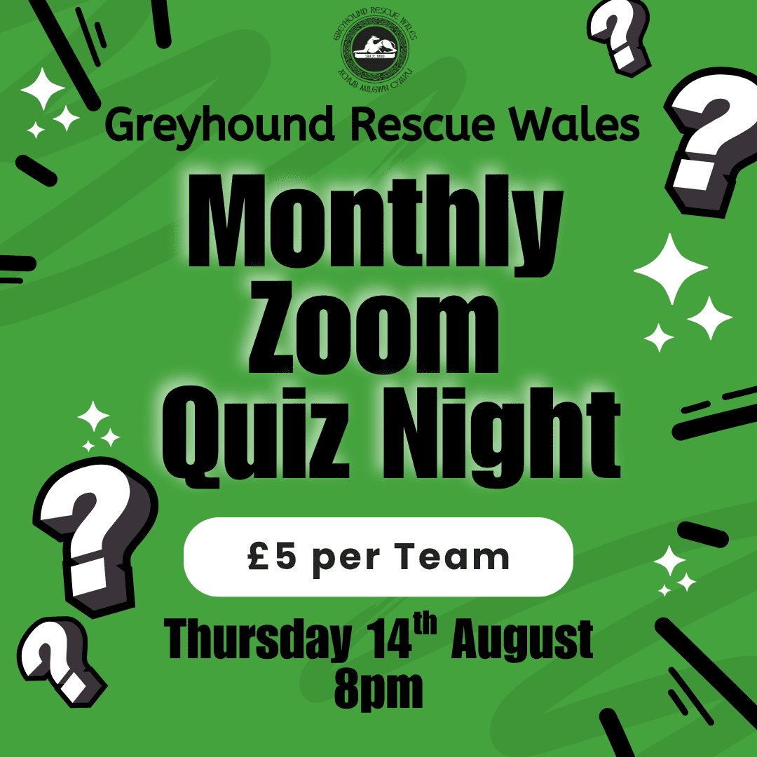 Quiz Night (3)