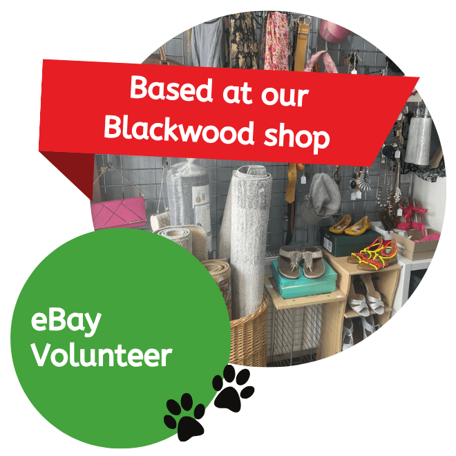 eBay Volunteer