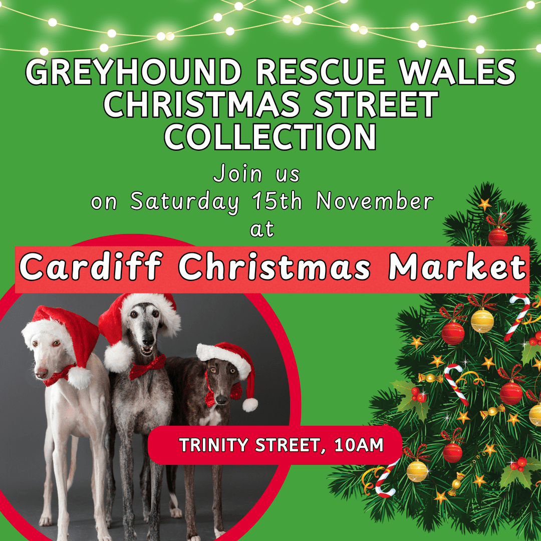 Join us on Saturday 15th November at (1)