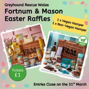 Fortnum and Mason Easter Hamper Raffle (with vegan option)