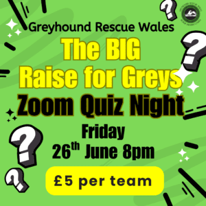 The BIG Raise for Greys Online Zoom Quiz Night