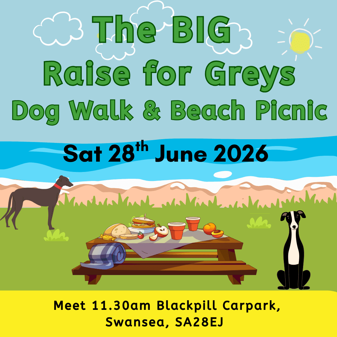R4G picnic 2 (Facebook Post (Square)) (1)